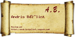 Andris Bálint névjegykártya