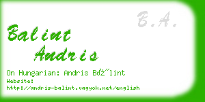 balint andris business card